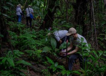 AKTIVITI pendakian dan rekreasi Hutan Simpanan Kekal (HSK) di Kedah tidak dibenarkan dan ditutup kepada umum