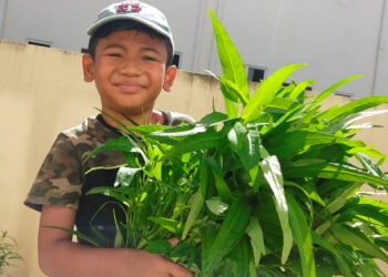 AFIQ Aryan Rosman menunjukkan sayur kangkung yang ditanamnya ketika ditemui di Slim River. - UTUSAN/ MOHAMAD HAFIZI MOHD SAID
