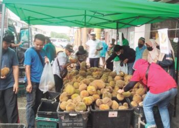 PELANGGAN memilih buah durian yang dijual pada harga RM1.99 sekilogram di Bagan Serai baru-baru ini.  - UTUSAN/WAT KAMAL ABAS