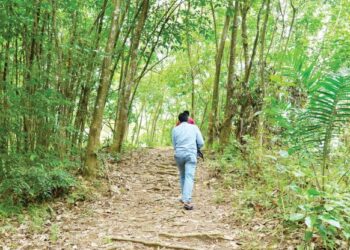 ANTARA laluan yang dilalui Acap ketika menyertai larian Gopeng Ultra Trail di Gopeng pada Mac  2019. - UTUSAN/ZULFACHRI ZULKIFLI