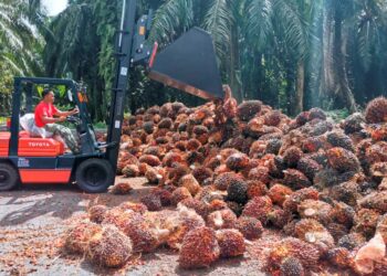 THP juga telah meningkatkan usaha mekanisasi dan inisiatif transformasi di semua ladangnya untuk meningkatkan kecekapan operasi. - GAMBAR HIASAN