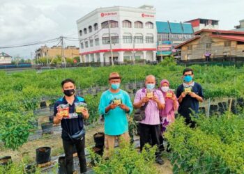 AHLI kariah Masjid Melayu di ladang cili fertigasi yang mereka usahakan di Jalan Selat, Teluk Intan. Perak. 
– UTUSAN/AIN SAFRE BIDIN