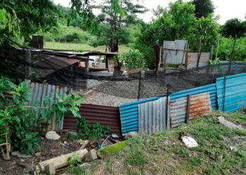 KEADAAN kandang kambing yang dibina seorang penduduk berdekatan kawasan perumahan di Taman Desa Pinji, Lahat, Ipoh.