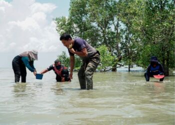 ORANG ramai mengutip kerang dan pelbagai hasil laut seperti remis, kepah dan kijing di Pantai Tanjung Kepah, Lekir dekat Lumut. - UTUSAN/ZULFACHRI ZULKIFLI