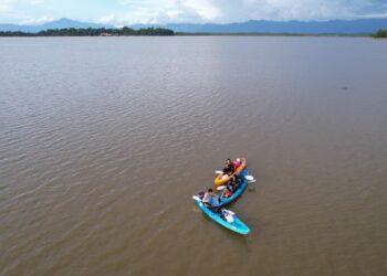 KAKITANGAN Pulau Orang Utan berkayak di tengah Tasik Bukit Merah dekat Bagan Serai untuk menghantar bekalan makanan dan ubat untuk Orang Utan di sebuah pulau di tasik tersebut semalam. - UTUSAN/WAT KAMAL ABAS