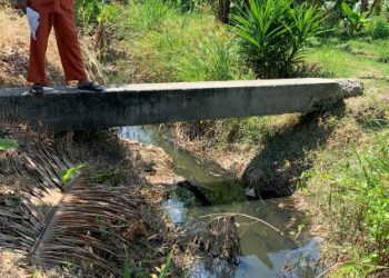 MOHD. Ali Hasan menunjukkan air longkang yang bertukar warna hitam
dipercayai disebabkan pencemaran kilang di Sungai Manggis, Banting, Selangor.