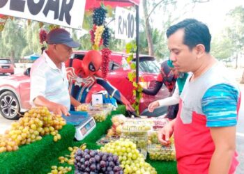 GELAGAT Mat Robi Mohd. Radzi memakai kostum Spiderman berjaya menarik pelanggan untuk membeli anggur di gerainya di Pantai Teluk Ketapang, Kuala Nerus, Terengganu.