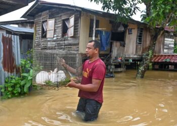 SOFIAN Othman, 39, mengalihkan arnab peliharaannya ke kawasan yang lebih tinggi berikutan hujan lebat sejak beberapa hari lalu yang mengakibatkan banjir sewaktu tinjauan hari ini di Kampung Paloh, Manir, Kuala Terengganu -UTUSAN/PUQTRA HAIRRY