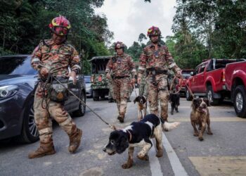 ANGGOTA Unit Anjing Pengesan (K9) Jabatan Bomba dan Penyelamat keluar dari lokasi tanah runtuh selepas seharian menyertai operasi mencari dan menyelamat mangsa tanah runtuh di Tapak Perkhemahan Father’s Organic Farm yang  memasuki hari kedua berhampiran Jalan Batang Kali-Genting Highland, Hulu Selangor. - UTUSAN/MUHAMAD IQBAL ROSLI