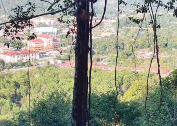 PEMANDANGAN yang menarik dari atas Bukit Makro, apabila dapat melihat keindahan bandar Maran. - UTUSAN/DIANA SURYA ABD WAHAB
