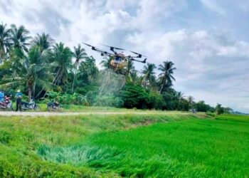 Penggunaan dron dalam pertanian menjimatkan masa, kos dan input pertanian