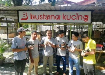 Mohd. Taufik Md. Zin (tiga dari kiri) bersama pekerja pusat perlindungan Bustana Kucing di Taman Ular Reptilia Perlis, Taman Batu Pahat, Perlis. – UTUSAN/ NAZLINA NADZARI