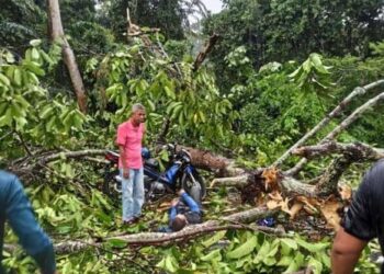 Orang ramai membantu mengeluarkan mangsa yang dihempap pokok di Jalan Temerloh-Triang berhampiran Kampung Tenggoh di Temerloh Pahang, semalam