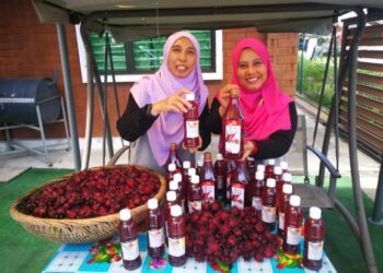 Siti Suraya Sharif (kanan) dan Farhana Nasrun menunjukkan buah rosel  yang diusahakan sebagai jus