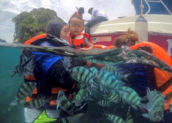 SELAIN aktiviti selam skuba, pengunjung yang mempunyai anak kecil boleh snorkeling di beberapa tempat di Pulau Tioman.