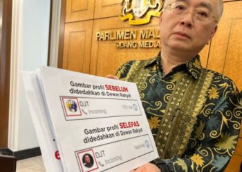 WEE Ka Siong menunjukkan tangkap layar rekod panggilan yang memaparkan gambar dalam aplikasi Whatsapp yang berbeza dan selepas itu ditukar menjadi gambar pengasas Tesla.