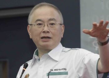WEE KA SIONG
