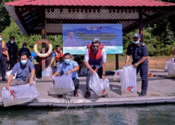 AZMAN Ibrahim (dua dari kiri) dan Zawawi (dua dari kanan) melepaskan sebanyak 400,000 benih udang galah di Sungai Coli, Tasik Kenyir di Hulu Terengganu, Terengganu hari ini.-UTUSAN/ PUQTRA HAIRRY ROSLI