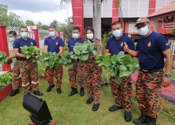 Rozizah (tiga dari kanan) bersama anggota Balai Bomba dan Penyelamat (BBP) Kuala Terengganu di Terengganu yang mengusahakan kebun termasuk menjual hasil tanaman kepada orang ramai sejak pelaksanaan Perintah Kawalan Pergerakan (PKP) pada Mac lalu.
