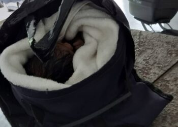 BAYI perempuan yang ditemukan dalam beg di kawasan perumahan di Georgetown, Pulau Pinang.