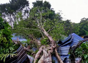 SEBUAH rumah ranap selepas dihempap  pokok di Kampung Cermin Kiri, Jerangau Sungai di Dungun, Terengganu malam tadi.
Gambar : NIK NUR IZZATUL HAZWANI NIK ADNAN