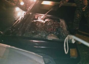 SEEKOR ular lawa sawa sepanjang enam meter ditemukan pada bahagian depan enjin kereta milik pekerja bengkel di Kampung Batu 25, Pekan Nanas, Pontian.
Gambar: Bomba Johor