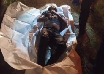 SEORANG lelaki warga Myammar ditemukan mati lemas di Sungai Padang Malau, Beseri, Perlis semalam.