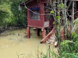 Mangsa banjir di Selangor meningkat kepada 183 orang ...