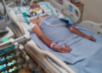 SEORANG penjual buah meninggal dunia selepas lima hari dirawat di HTAA di Kuantan, Pahang sejak Selasa lalu selepas terlibat kemalangan melanggar babi.