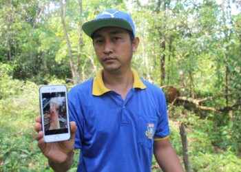 MOHD. Izuwan Zulkafli menunjukkan kecederaan yang dialami ibu saudaranya akibat diserang beruk liar dalam kejadian di sebuah kebun di Kampung Chuai Hilir, Rembau, tengah hari tadi.-UTUSAN/NOR AINNA HAMZAH
