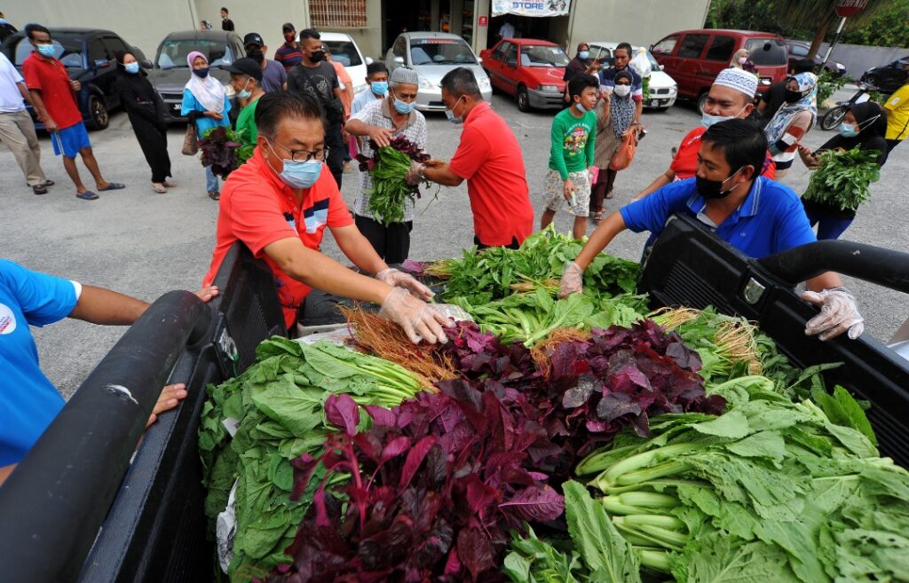 Sayur 2,000 kg percuma kepada orang ramai, pilih apa yang mahu Sayur 2,000 kg percuma kepada orang ramai, pilih apa yang mahu