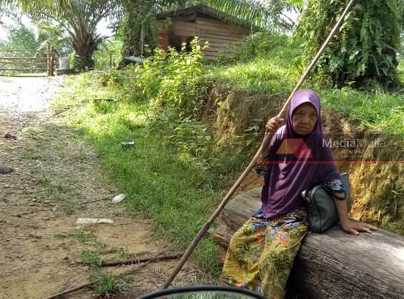 Keluarga bimbang kehilangan Lijah Keluarga bimbang kehilangan Lijah