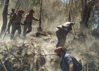 ANGGOTA bomba memadam kebakaran hutan di Kampung Sindu, Jalan Cameron Highlands-Simpang Pulai dekat Ipoh hari ini.