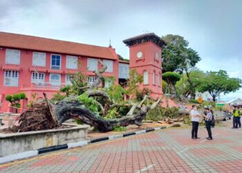 POKOK ikonik berusia 127 tahun di hadapan Bangunan Stadthuys, Melaka tumbang pada pukul 6.30 pagi tadi. - UTUSAN/DIYANATUL ATIQAH ZAKARYA