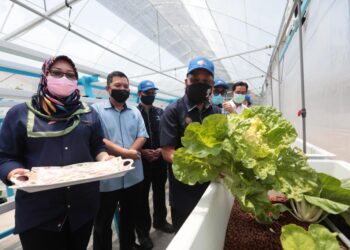 CHE Abdullah Mat Nawi (kanan) ketika melawat kawasan penanaman sayur secara konvensional di PPK Seri Pulau, Balik Pulau, Pulau Pinang.