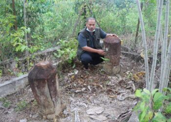 BATU nisan unik dipercayai milik Tok Raja Hulubalang Ali ditemukan di Kampung Jengka Batu 13, Maran, Pahang. - UTUSAN/SALEHUDIN MAT RASAD