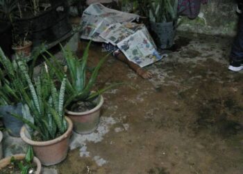 WANITA berusia 30-an ditemukan maut di atas bumbung bilik panel suis TNB tingkat satu sebuah kondominium di Ayer Itam, Pulau Pinang tengah malam tadi selepas dipercayai terjatuh dari tingkat 18 kondominium tersebut.