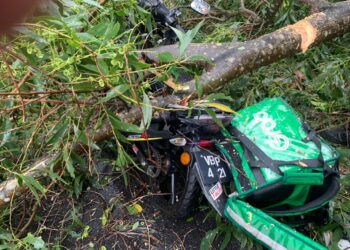 KEADAAN motosikal penghantar makanan  yang dihempap pokok Taman Len Seng, Cheras di sini hari ini.