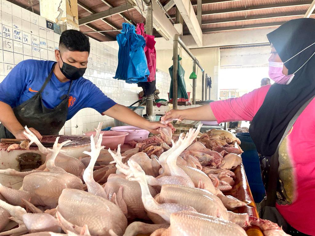 Harga kawalan ayam 2021