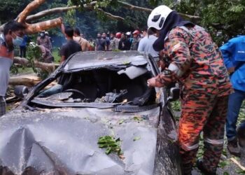 KEADAAN kereta Proton Wira yang dihempap sebatang pokok yang tumbang dalam kejadian hujan lebat di Hutan Simpan, Masjid Tanah, Melaka. - UTUSAN/DIYANATUL ATIQAH ZAKARYA