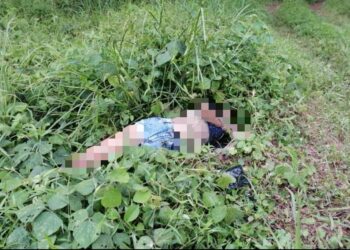 SEORANG remaja perempuan ditemukan meninggal dunia di tepi jalan dekat simpang Kampung Pokok Pauh, Pokok Sena, Alor Setar,  kelmarin.