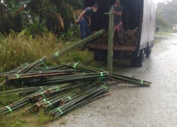 BULUH yang dirampas Jabatan Perhutanan Perak setelah menahan sebuah lori di Kuala Bikam-Jalan Teluk Intan.