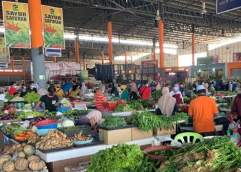 SEKTOR pertanian perlu pemodenan untuk meningkatkan hasil bagi jaminan makanan negara pada masa hadapan. - GAMBAR HIASAN