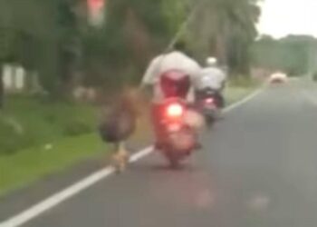 TANGKAP layar seekor kucing diseret penunggang motosikal dalam kejadian di Kampung Melayu, Langkap, Teluk Intan semalam. - UTUSAN/MEDIA SOSIAL