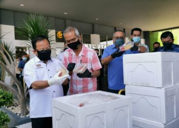 AHMAD Hamzah memeriksa bekalan buah-buahan yang akan disumbangkan kepada PKRC MITC, Ayer Keroh, Melaka. - UTUSAN/DIYANATUL ATIQAH ZAKARYA