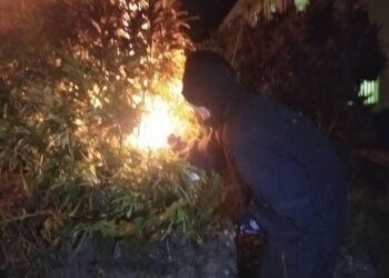 ANGGOTA Angkatan Pertahanan Awam Malaysia (APM) Lipis berusaha memusnahkan dua sarang tebuan di Loji Air Benta, Lipis, Pahang. -IHSAN APM