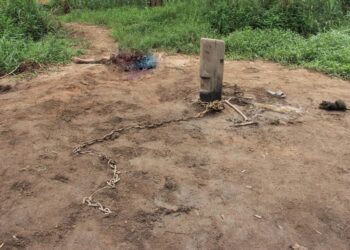 ANUCHA Tangsakun, 38, maut terkena tusukan gading gajah di Perkampungan Konservasi Gajah Kenyir (KECV) di Hulu Terengganu hari ini.
