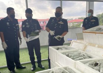 MOHD. Said Ibrahim (dua kanan) menunjukkan bungkusan daun ketum yang dirampas.