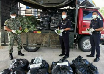 SHAMSUDIN Mamat (tengah) menunjukkan sebahagian ikatan lut sinar dipercayai berisi daun-daun ketum yang dirampas di SJR Kampung Jerai, Kupang, Baling, Kedah.