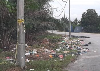SAMPAH dibuang merata-rata dekat bahu jalan di Pulau Carey, Kuala Langat, sedangkan sebelum ini kawasan sebelahnya baharu dibersihkan. - UTUSAN/ABDUL RAZAK IDRIS